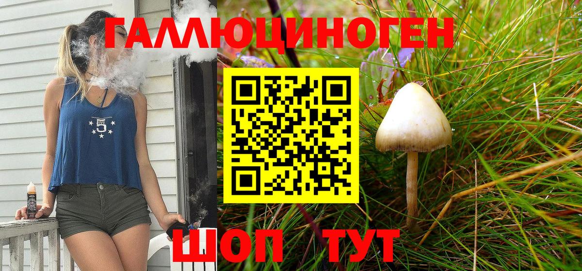 где продают наркотики  Вход с VPN  Ртищево  Галлюциногенные грибы MAGIC MUSHROOMS 