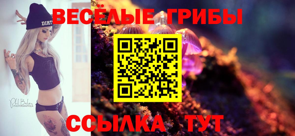 Галлюциногенные грибы GOLDEN TEACHER Ртищево